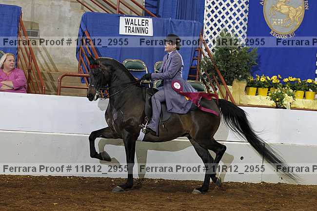 Proof Number 11r12_2955