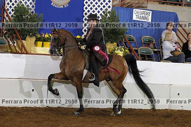 Proof Number 11r12_2959