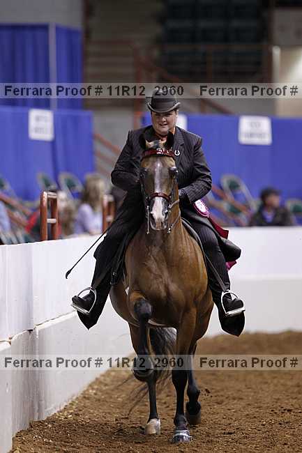 Proof Number 11r12_2960