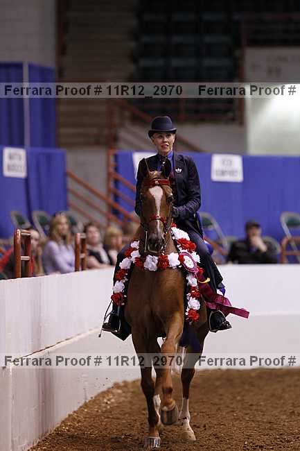 Proof Number 11r12_2970