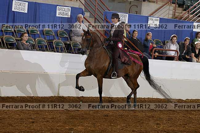 Proof Number 11r12_3062