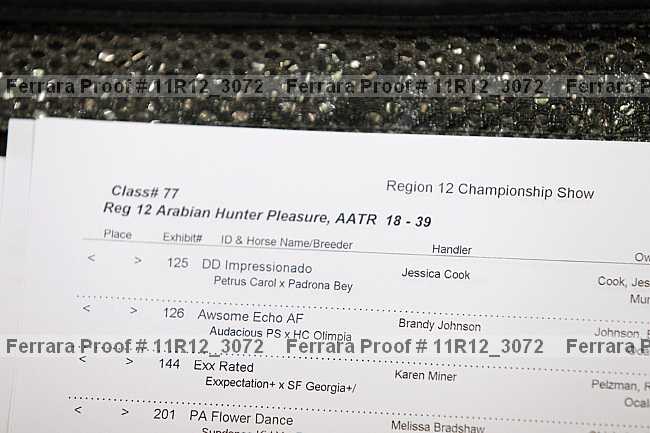 Proof Number 11r12_3072