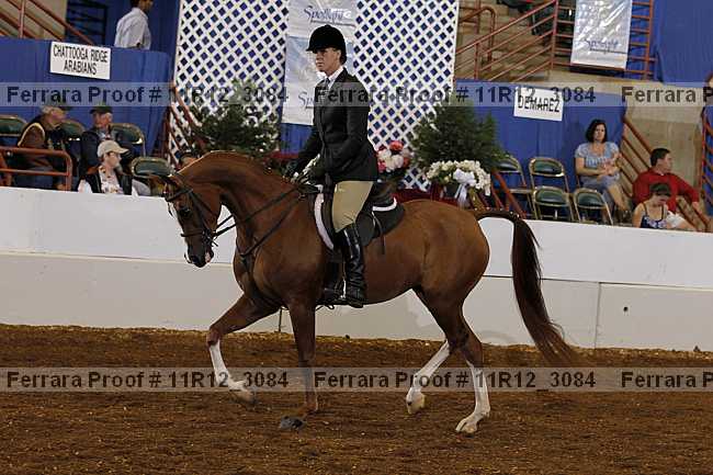 Proof Number 11r12_3084