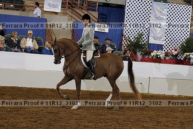 Proof Number 11r12_3102