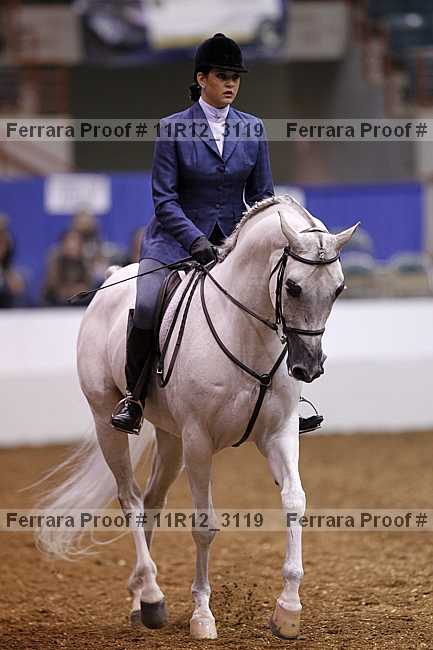 Proof Number 11r12_3119