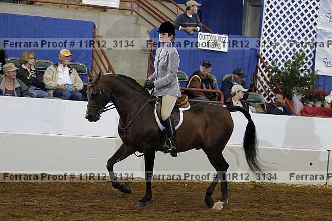 Proof Number 11r12_3134