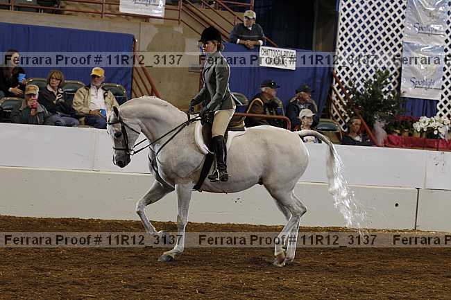 Proof Number 11r12_3137