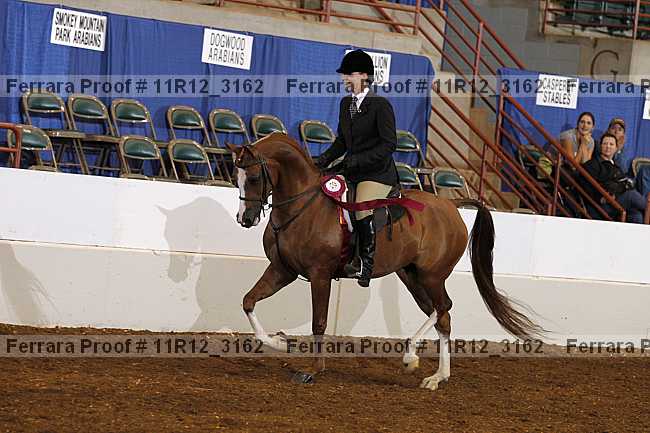 Proof Number 11r12_3162