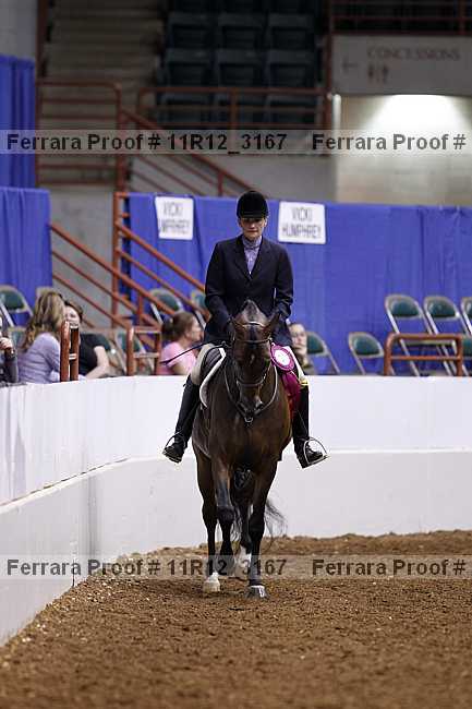 Proof Number 11r12_3167