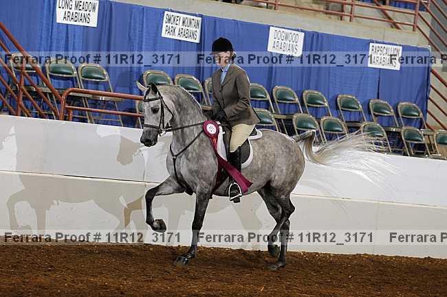 Proof Number 11r12_3171