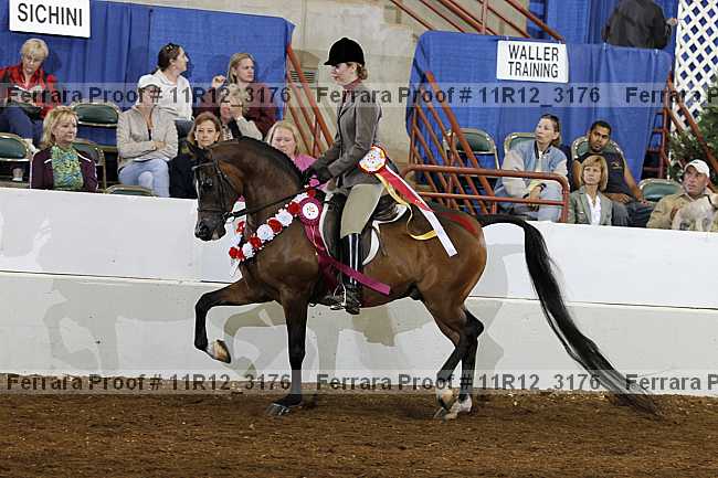 Proof Number 11r12_3176