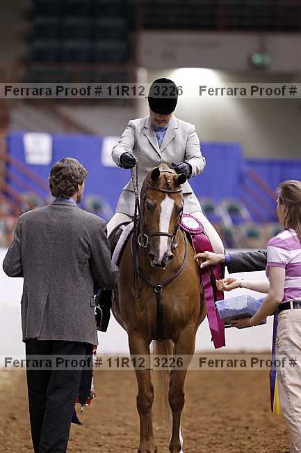 Proof Number 11r12_3226