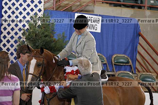 Proof Number 11r12_3227
