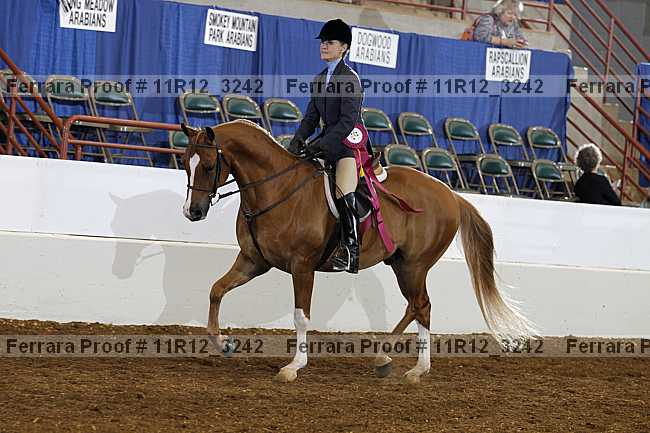 Proof Number 11r12_3242
