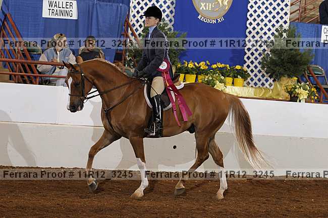 Proof Number 11r12_3245