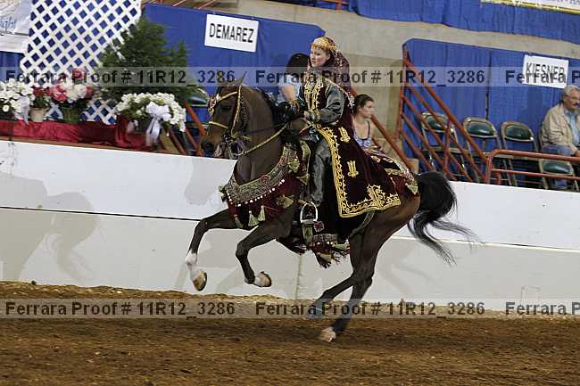 Proof Number 11r12_3286