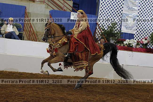 Proof Number 11r12_3288