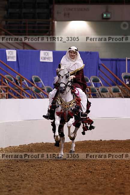 Proof Number 11r12_3305