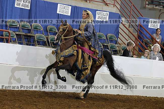 Proof Number 11r12_3308