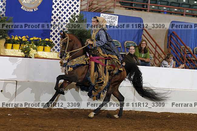 Proof Number 11r12_3309