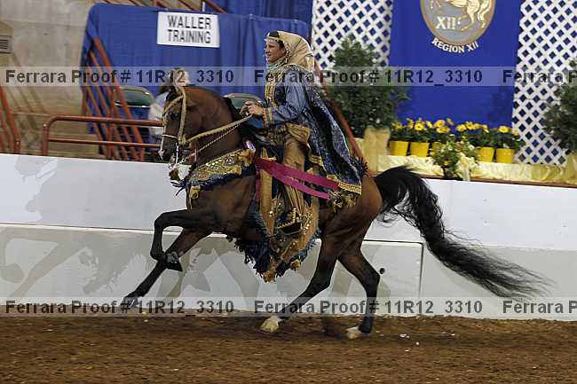Proof Number 11r12_3310
