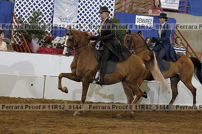 Proof Number 11r12_9144