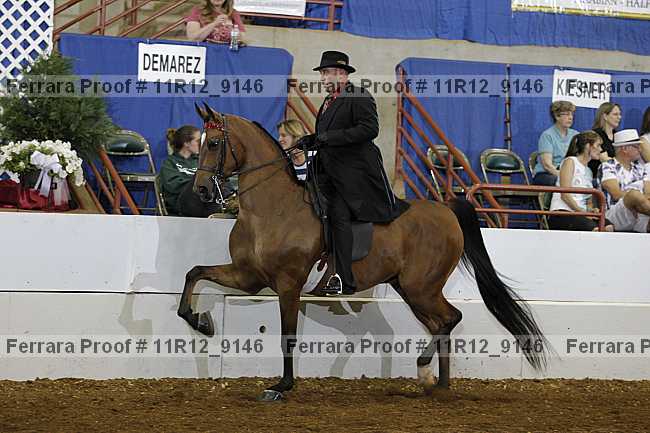 Proof Number 11r12_9146