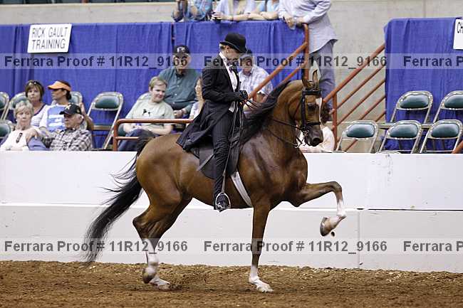 Proof Number 11r12_9166