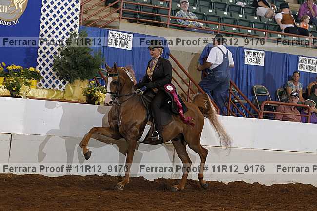Proof Number 11r12_9176