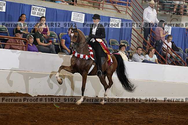 Proof Number 11r12_9192