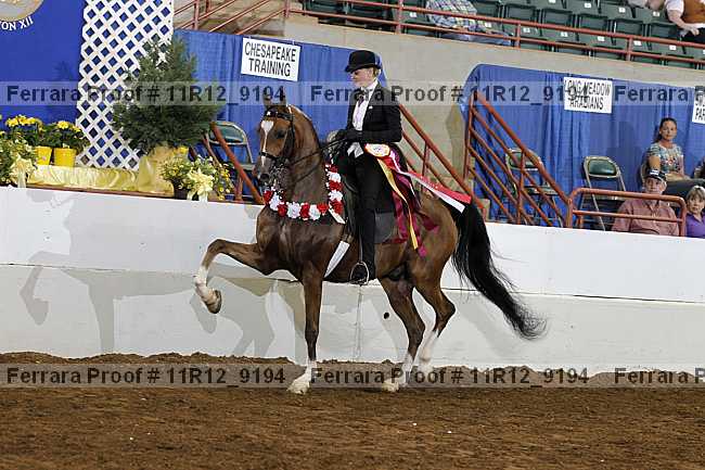 Proof Number 11r12_9194