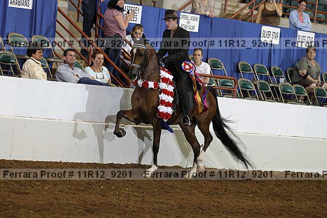 Proof Number 11r12_9201