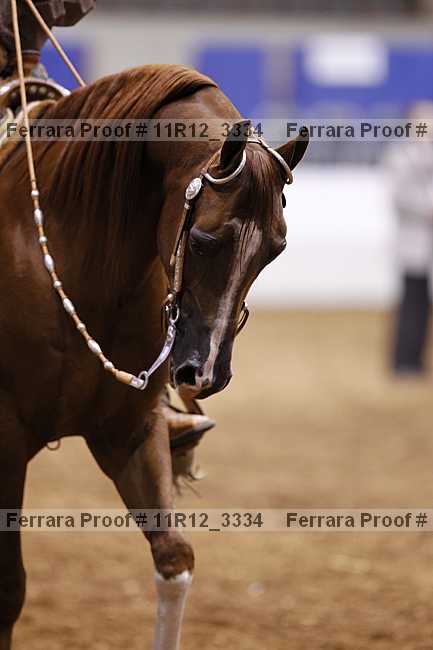 Proof Number 11r12_3334