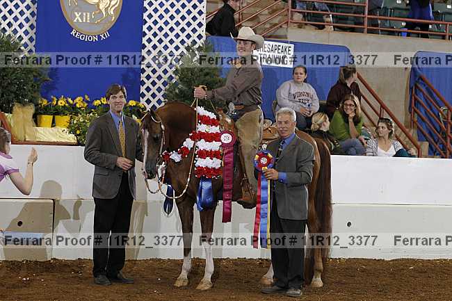 Proof Number 11r12_3377
