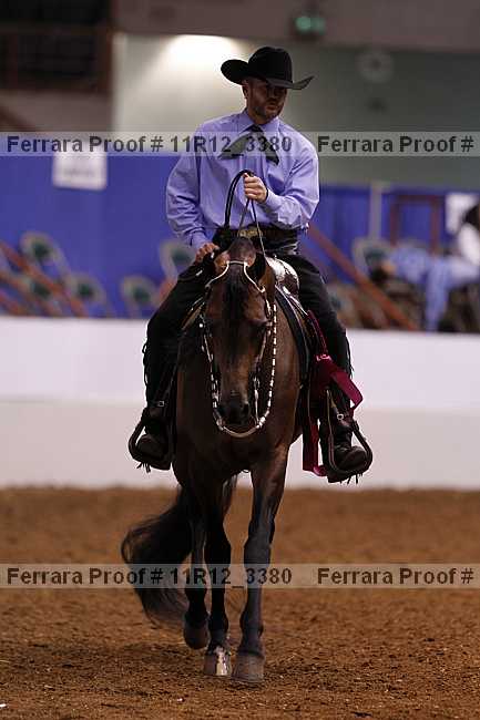 Proof Number 11r12_3380