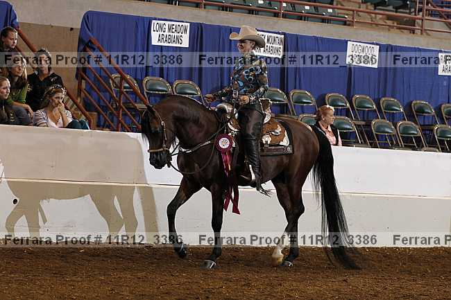 Proof Number 11r12_3386
