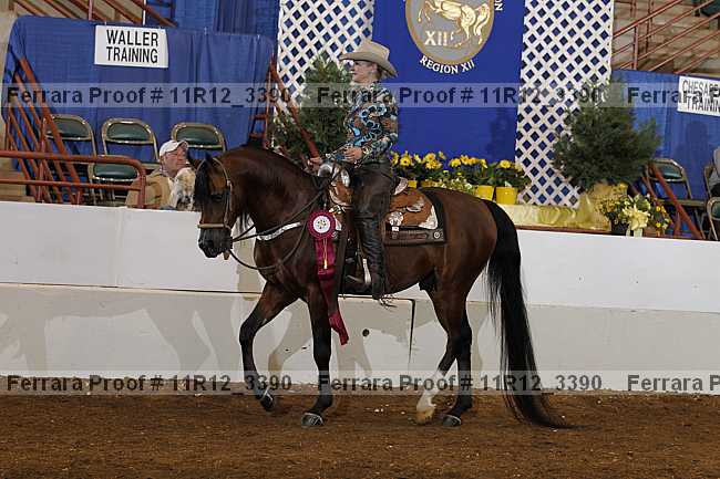 Proof Number 11r12_3390