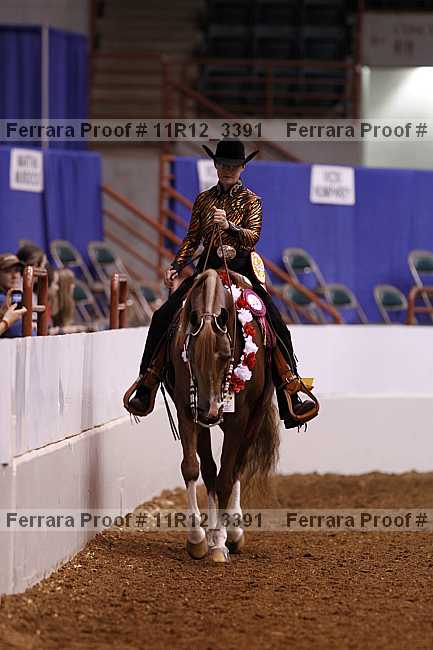 Proof Number 11r12_3391