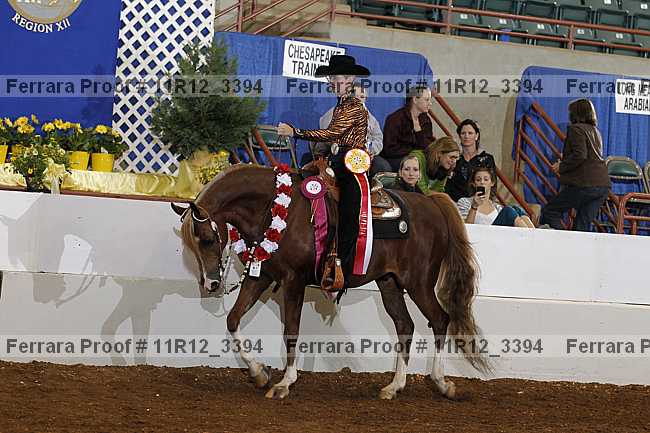 Proof Number 11r12_3394