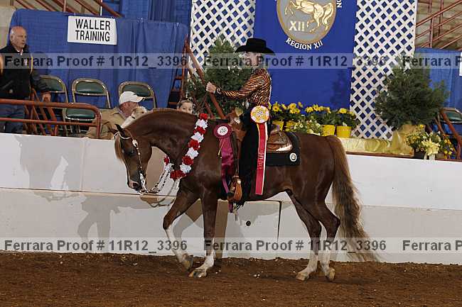 Proof Number 11r12_3396