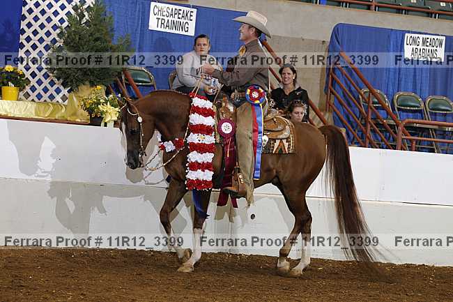 Proof Number 11r12_3399