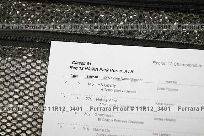 Proof Number 11r12_3401