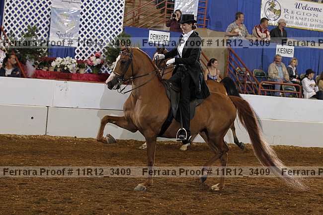 Proof Number 11r12_3409