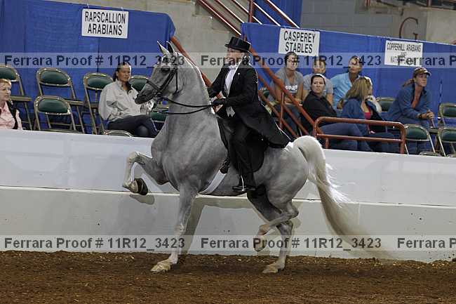 Proof Number 11r12_3423