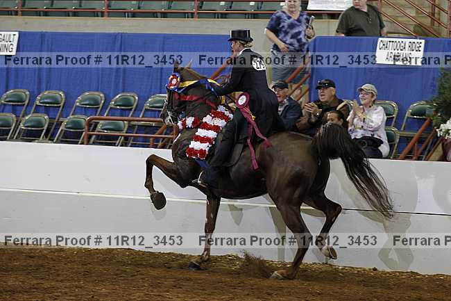 Proof Number 11r12_3453