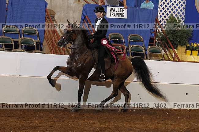 Proof Number 11r12_3462