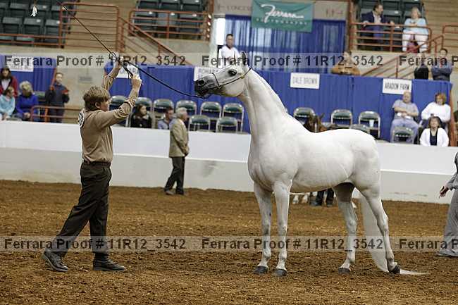 Proof Number 11r12_3542