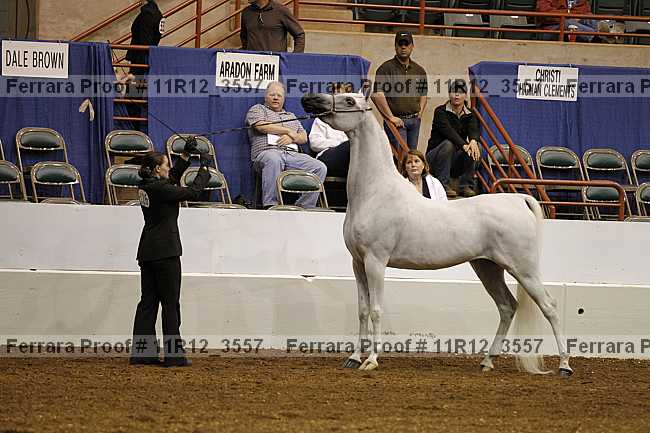 Proof Number 11r12_3557