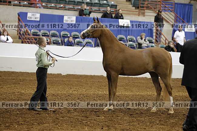 Proof Number 11r12_3567