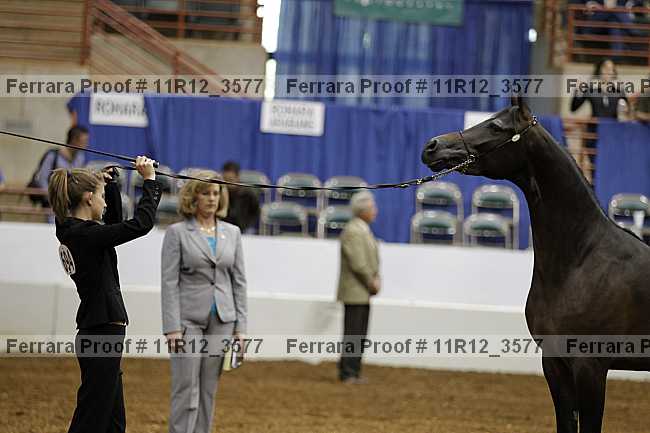 Proof Number 11r12_3577